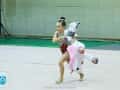 pioro_feniksa-28
