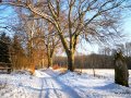 IMG_20210117_125136