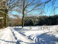 IMG_20210117_130012