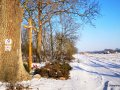 IMG_20210117_131458