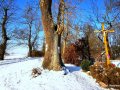 IMG_20210117_131537