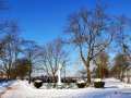 IMG_20210117_132947