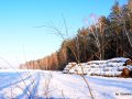 IMG_20210117_140242