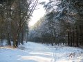 IMG_5294