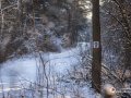 IMG_5342