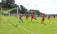2022.08.15-Welna-Lesnik-18