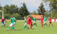 2022.08.15-Welna-Lesnik-33