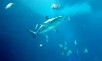 IMG_20221210_132241