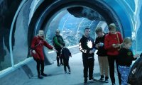 IMG_20221210_132555