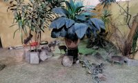 IMG_20221210_142133