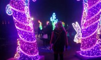 IMG_20221210_175134
