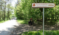 DSC03836