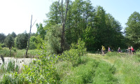 DSC03991