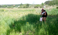 DSC04006