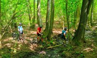 IMG-20230601-WA0010