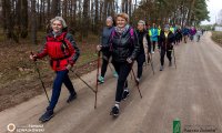 16rstwpz-141