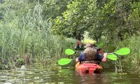 IMG_6097