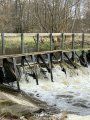 IMG_3664