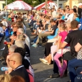 1 dzien (239)