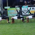 1 dzien (391)