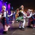 WOSP SKOKI (95)
