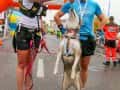 polmaraton-190