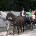 Dożynki gminne_Lechlin_28.08.2010 (20)