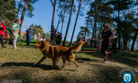 5_Skoki_Cross_Duathlon_24042022_2loga-357