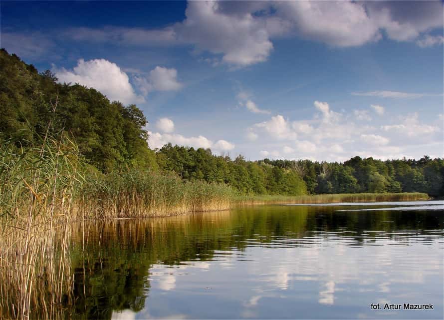 Jezioro Karolewskie II