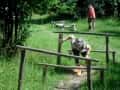 SAM_7352