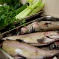5warsztaty kulinarne-ryby (1)