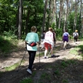 10 NW potrzanowo (10)