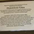 dziewicza gora (6)