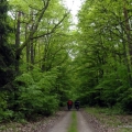 Rajd ekoPuszcza Wpuszcza_23.05 (9)