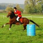 hubertus 2006 (15)