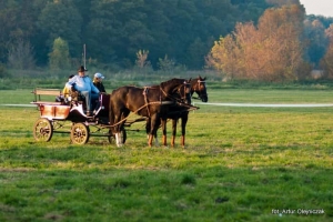 HUBERTUS w Skokach 20.10.2012