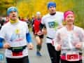 1tomek (36)