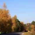 jesien w gminie skoki (41)