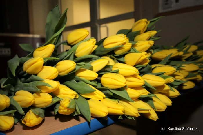 Dzień Kobiet z tulipanem i Krzysztofem Krawczykiem