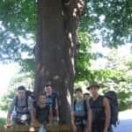 wedrowny (52)