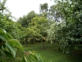 022-Potrzanowo (3)