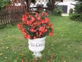 200-rejowiec II (3)