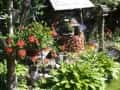 1 ogrody (122)