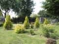 1 ogrody (131)