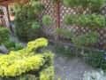 1 ogrody (138)