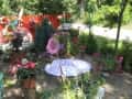 1 ogrody (145)