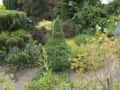 1 ogrody (162)