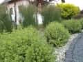 1 ogrody (185)