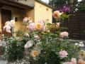 1 ogrody (61)