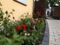 1 ogrody (63)